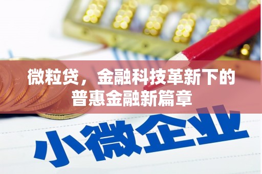 桑日微粒贷，金融科技革新下的普惠金融新篇章