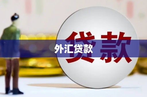 桑日外汇贷款