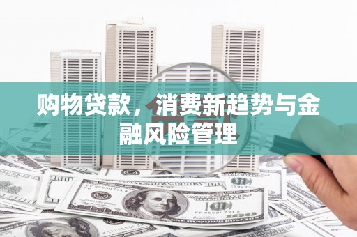 桑日购物贷款，消费新趋势与金融风险管理