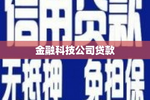 桑日金融科技公司贷款