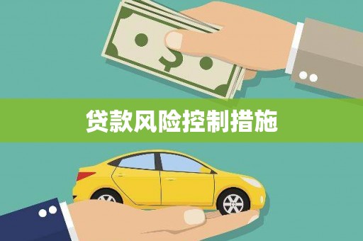 桑日贷款风险控制措施