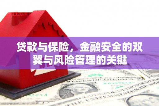 桑日贷款与保险，金融安全的双翼与风险管理的关键