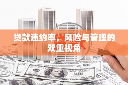 桑日贷款违约率，风险与管理的双重视角