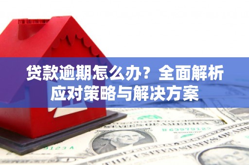 桑日贷款逾期怎么办？全面解析应对策略与解决方案