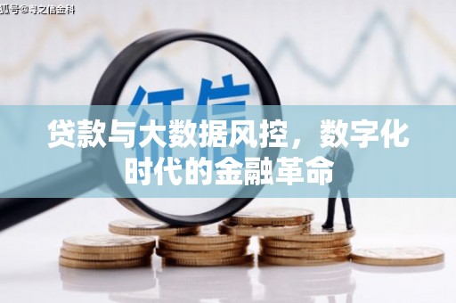 桑日贷款与大数据风控，数字化时代的金融革命