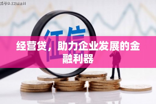 桑日经营贷，助力企业发展的金融利器