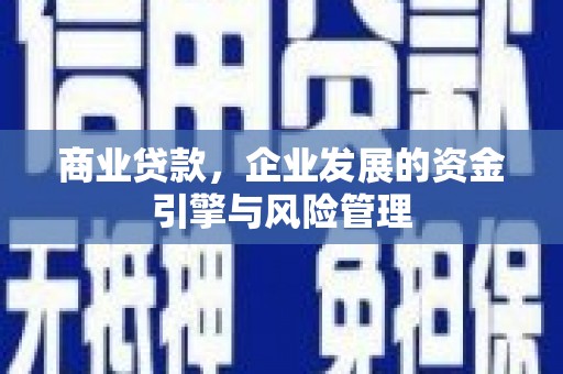 桑日商业贷款，企业发展的资金引擎与风险管理