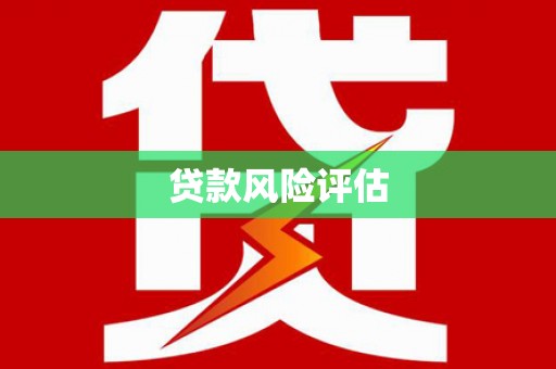 桑日贷款风险评估