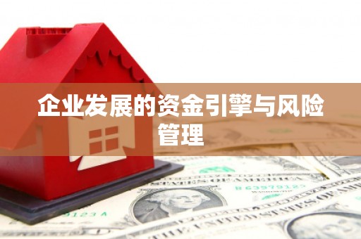 桑日企业发展的资金引擎与风险管理