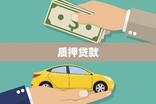 桑日质押贷款