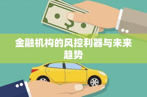 桑日金融机构的风控利器与未来趋势