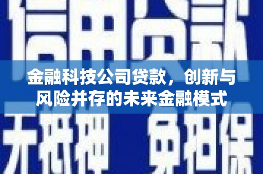 桑日金融科技公司贷款，创新与风险并存的未来金融模式