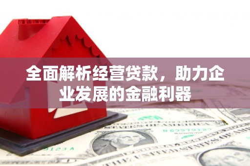 桑日全面解析经营贷款，助力企业发展的金融利器