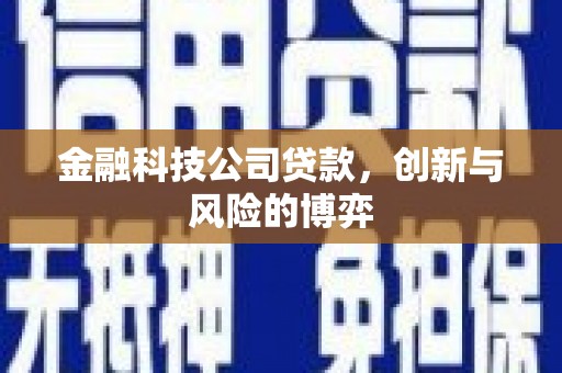 桑日金融科技公司贷款，创新与风险的博弈