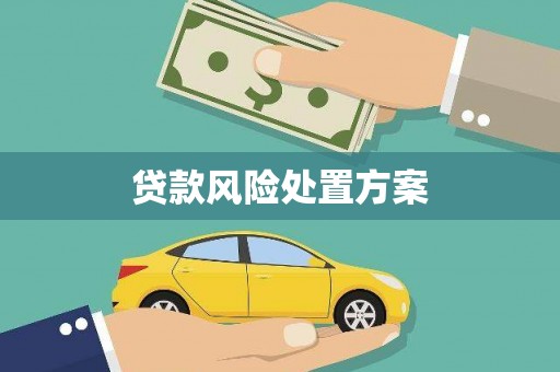 桑日贷款风险处置方案