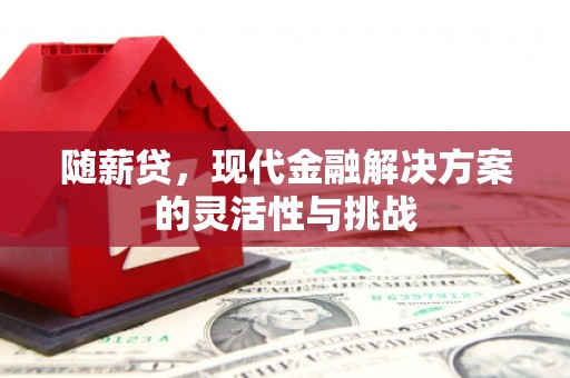 桑日随薪贷，现代金融解决方案的灵活性与挑战