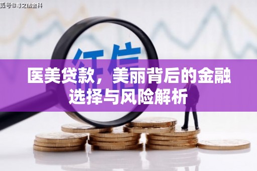 桑日医美贷款，美丽背后的金融选择与风险解析
