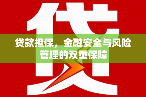 桑日贷款担保，金融安全与风险管理的双重保障