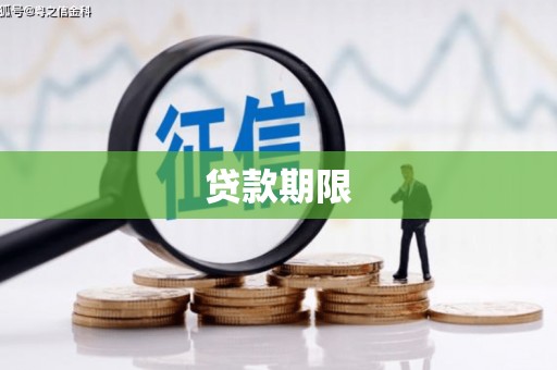 桑日贷款期限