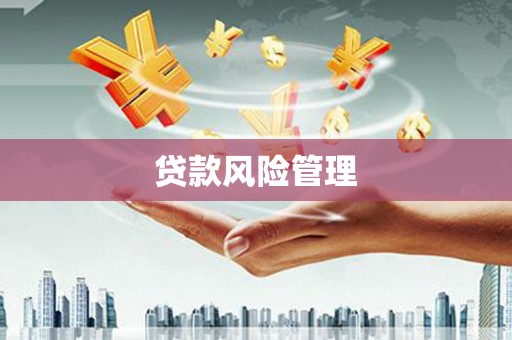 桑日贷款风险管理