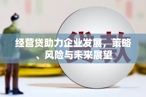 桑日经营贷助力企业发展，策略、风险与未来展望