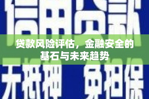 桑日贷款风险评估，金融安全的基石与未来趋势