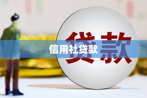 桑日信用社贷款