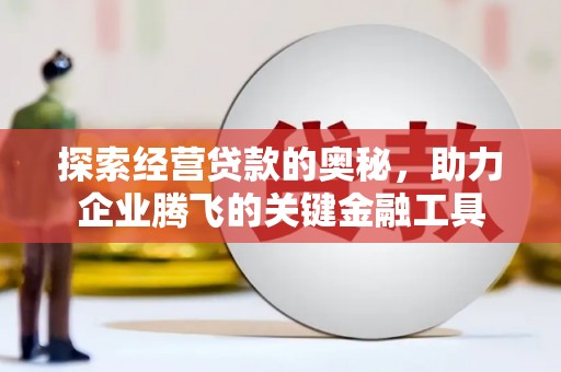桑日探索经营贷款的奥秘，助力企业腾飞的关键金融工具