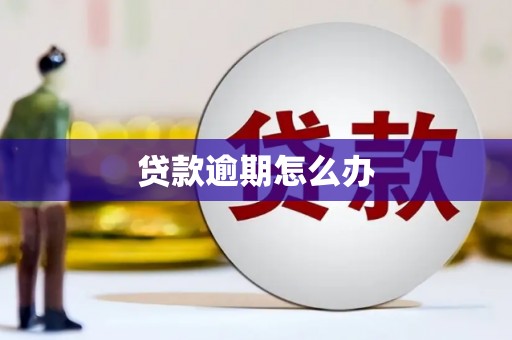桑日贷款逾期怎么办