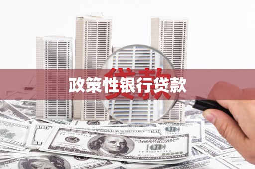 桑日政策性银行贷款