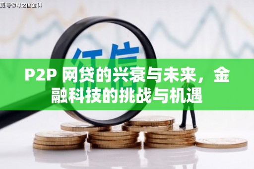 桑日P2P 网贷的兴衰与未来，金融科技的挑战与机遇