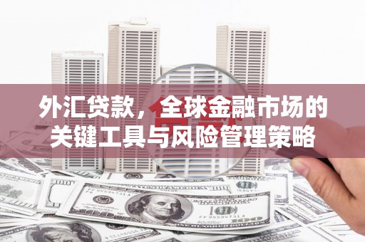 桑日外汇贷款，全球金融市场的关键工具与风险管理策略