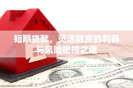 桑日短期贷款，灵活融资的利器与风险把控之道