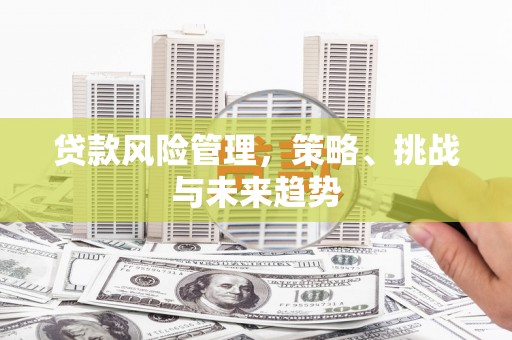 桑日贷款风险管理，策略、挑战与未来趋势