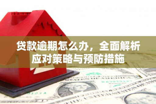 桑日贷款逾期怎么办，全面解析应对策略与预防措施