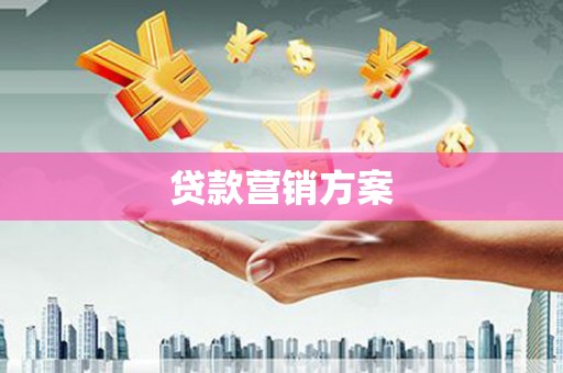 桑日贷款营销方案