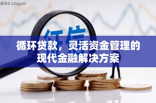 桑日循环贷款，灵活资金管理的现代金融解决方案