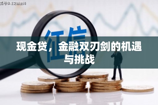 桑日现金贷，金融双刃剑的机遇与挑战