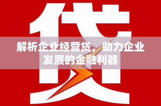 桑日解析企业经营贷，助力企业发展的金融利器