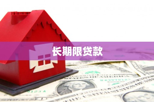 桑日长期限贷款