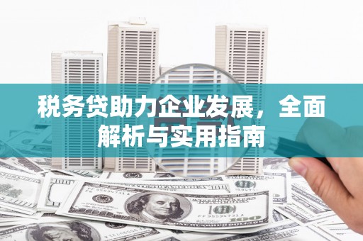 桑日税务贷助力企业发展，全面解析与实用指南