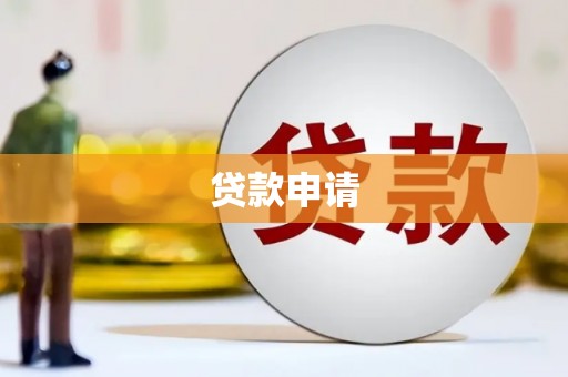 桑日贷款申请