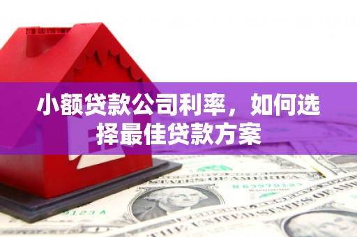 桑日小额贷款公司利率，如何选择最佳贷款方案