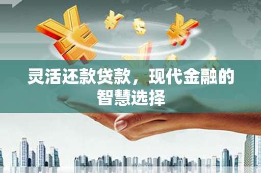 桑日灵活还款贷款，现代金融的智慧选择