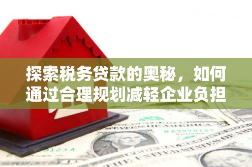 桑日探索税务贷款的奥秘，如何通过合理规划减轻企业负担