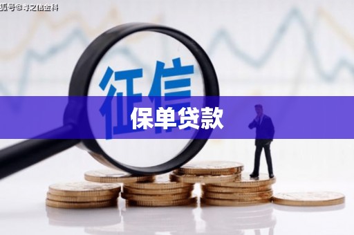 桑日保单贷款