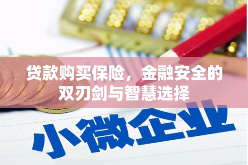 桑日贷款购买保险，金融安全的双刃剑与智慧选择