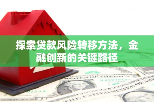 桑日探索贷款风险转移方法，金融创新的关键路径