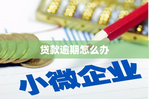 桑日贷款逾期怎么办