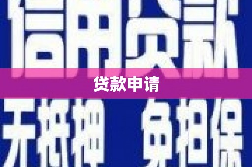 桑日贷款申请
